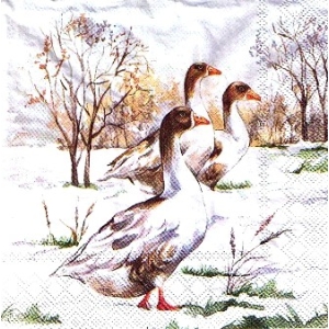 SERWETKI DO DECOUPAGE (33x33) 11668