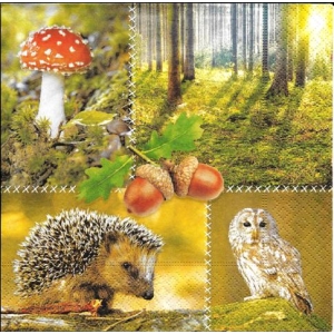 SERWETKI DO DECOUPAGE (33x33) 3887